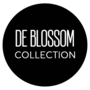 Blossom Footwear Wholesale Logo
